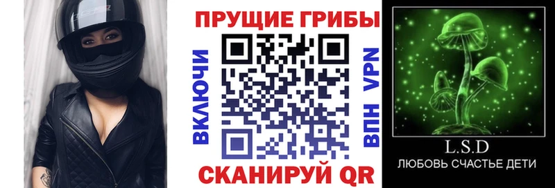 ссылка на мегу ссылки  shop Telegram  Псилоцибиновые грибы GOLDEN TEACHER  Кизел 